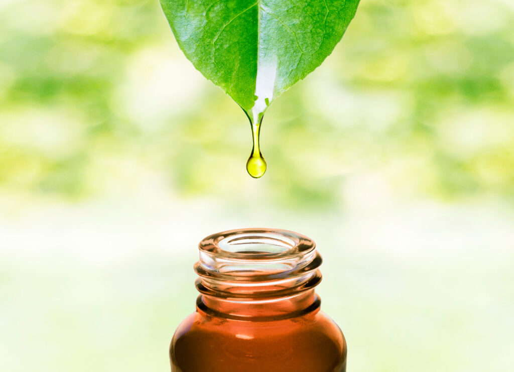 Herbal essence. Alternative healthy medicine. Skin care. Essenti